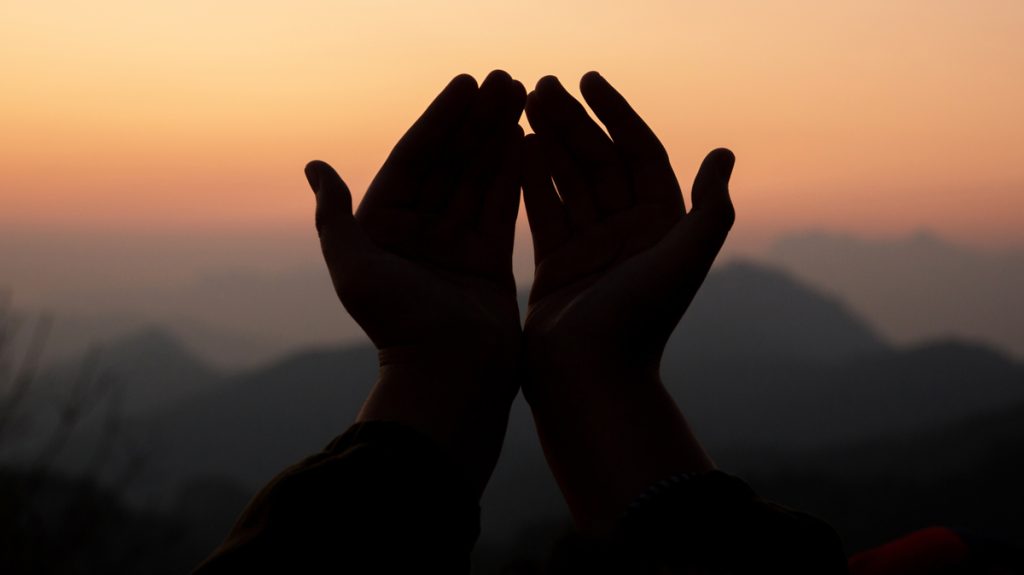 d12bb720198043e66c118d576c7a0b3a